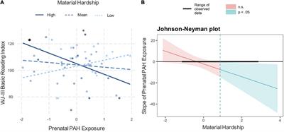 Effects of prenatal polycyclic aromatic hydrocarbons and childhood material hardship on reading achievement in school-age children: A preliminary study